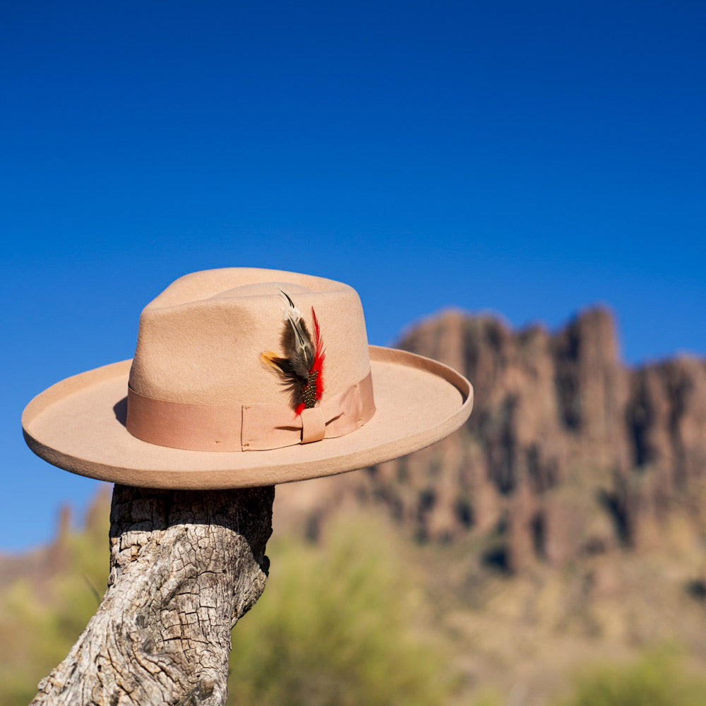 Dust & Ember - Premium