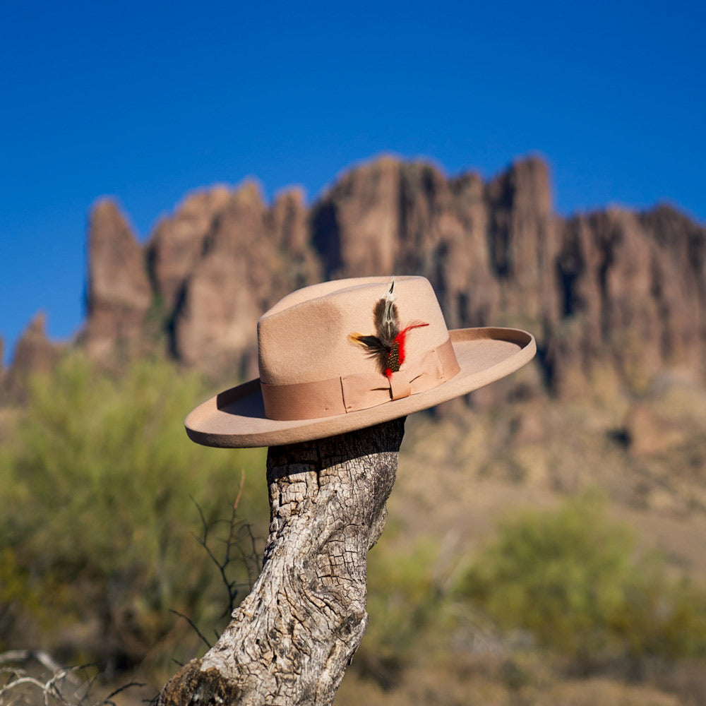 Dust & Ember - Premium