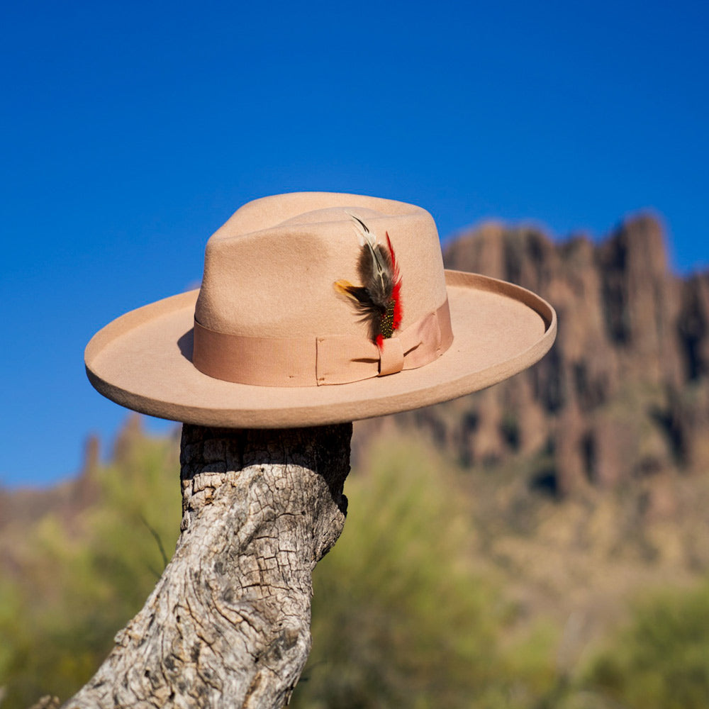 Dust & Ember - Premium