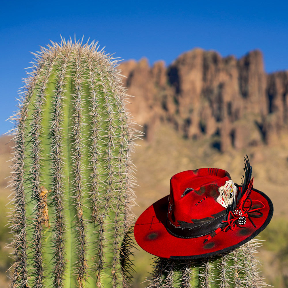 Wilder Oro Limited - Luxury