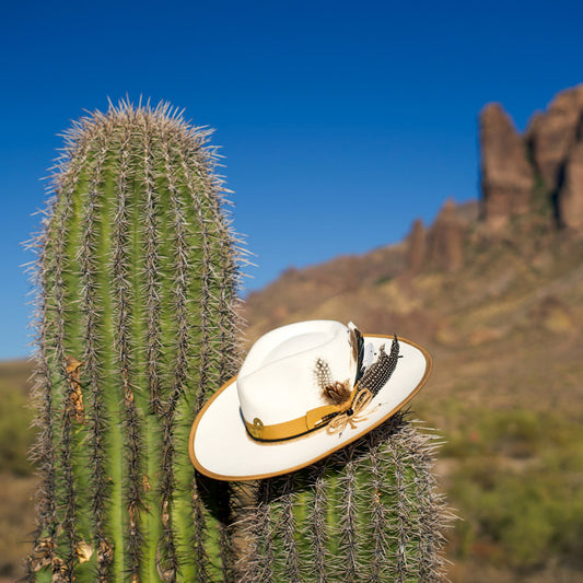 Sonora Brim - Premium