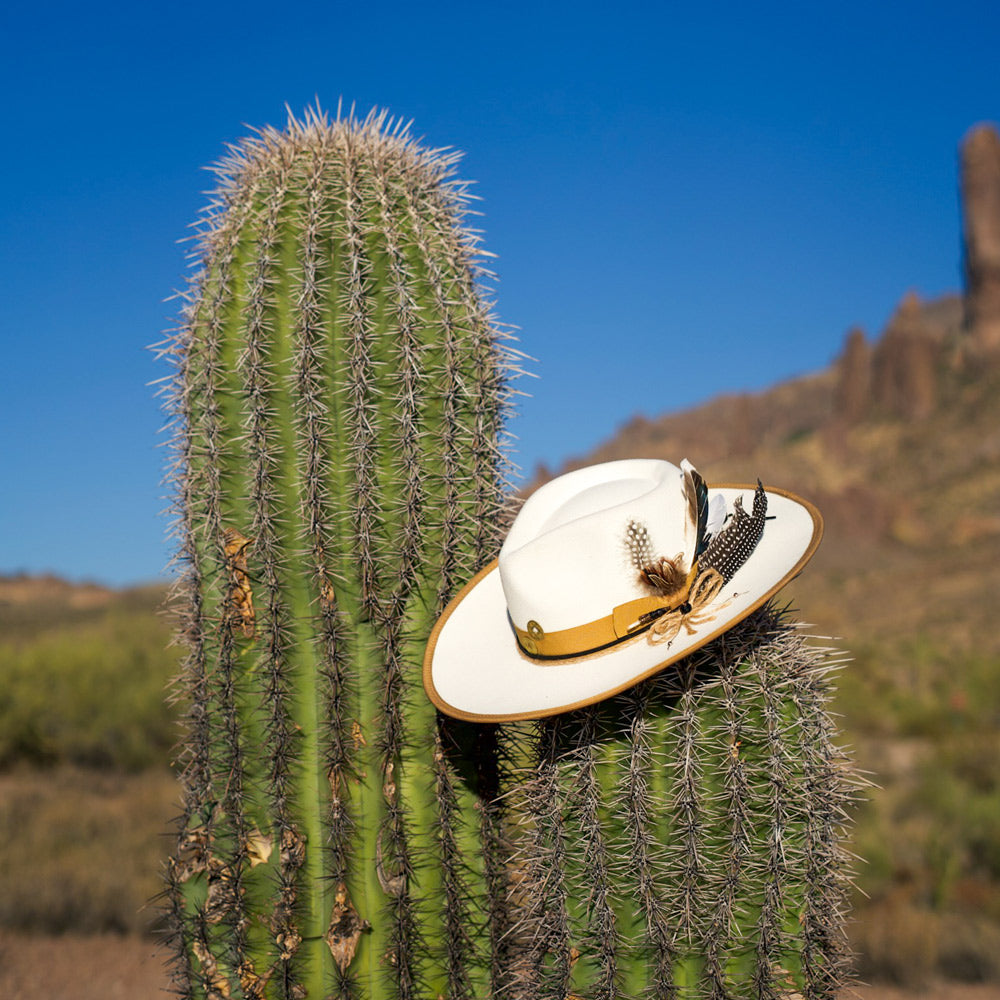 Sonora Brim - Premium